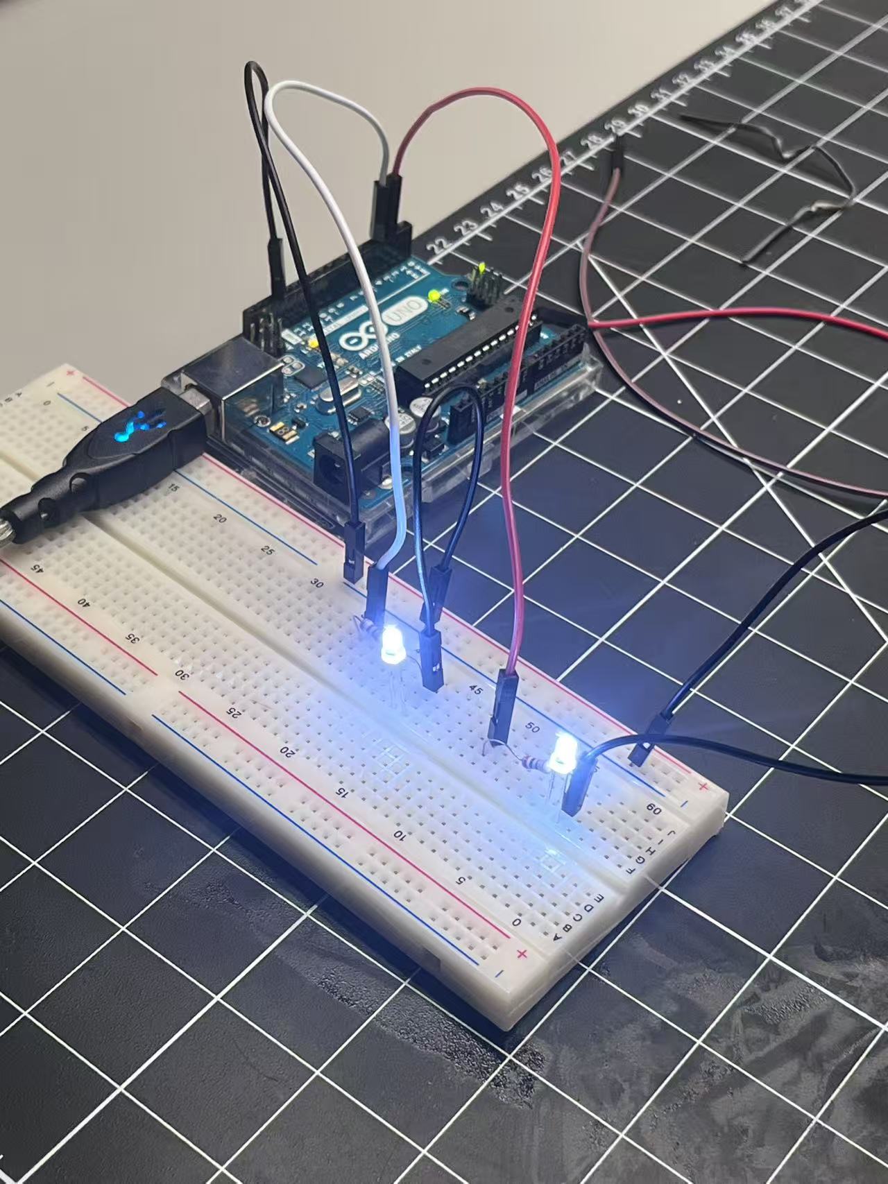 Two LEDs are connected in parallel to demonstrate how multiple outputs can respond to the same signal from the Arduino pins.